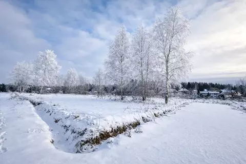 Участок в Московская область, Солнечногорск городской округ, д. Покров ...