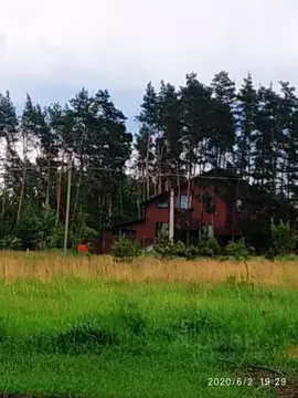 Участок в Воронежская область, Рамонский район, с. Ямное Октябрьская ...