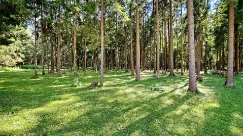Участок в Московская область, Красногорск городской округ, д. ...