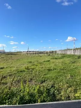 Участок в Новосибирская область, Колыванский район, д. Большой Оеш ул. ...