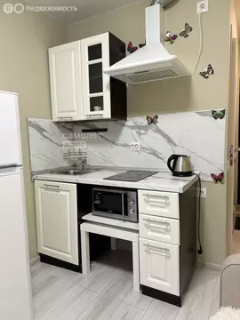 Квартира-студия: Москва, улица Конёнкова, 11Б (13.3 м)