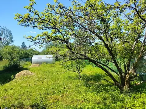 Участок в Санкт-Петербург, Санкт-Петербург, Павловск Славяночка СНТ, 6 ...