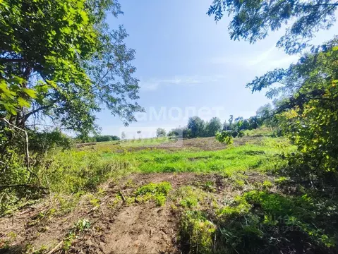 Участок в Курская область, Курский район, Пашковский сельсовет, Биолог ...