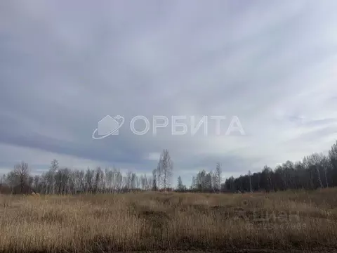 Участок в Тюменская область, Тюменский муниципальный округ, Приозерное ...