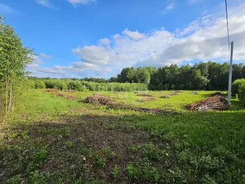 Участок в Коми, Сыктывдинский район, с. Выльгорт  (11.4 сот.)