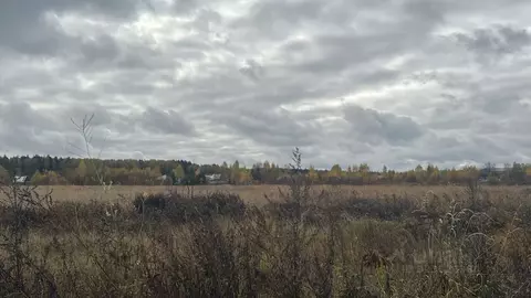 Участок в Московская область, Ступино городской округ, с. Ивановское  ...