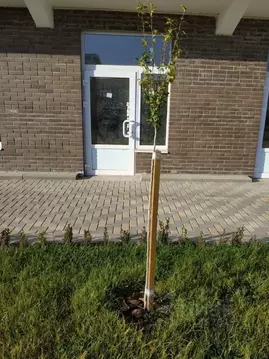 Помещение свободного назначения в Краснодарский край, Краснодар ...