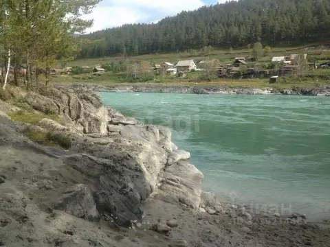 Участок в Алтай, Чемальский район, с. Аюла Центральная ул., 22 (9.0 ...
