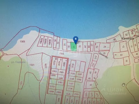 Участок в Пермский край, Ильинский муниципальный округ, д. Калинята ...