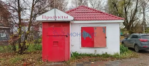 Торговая площадь в Нижегородская область, Богородск ул. Чкалова (47 м)