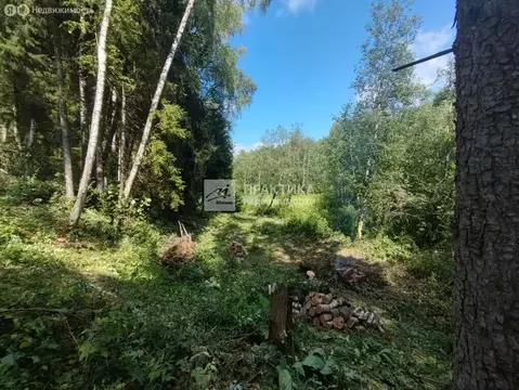 Участок в Московская область, Рузский муниципальный округ, дачный ...