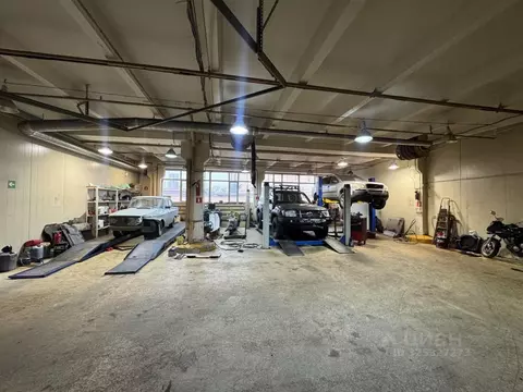 Помещение свободного назначения в Москва Кантемировская ул., 59А (242 ...