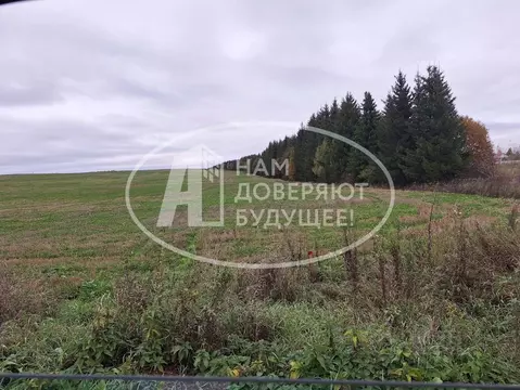 Участок в Пермский край, Кунгурский муниципальный округ, с. Неволино ...