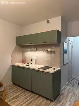 Квартира-студия: Санкт-Петербург, Планерная улица, 91к1 (24.5 м)