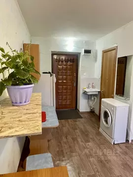 Студия Красноярский край, Красноярск Зеленая Роща мкр, ул. Устиновича, ...