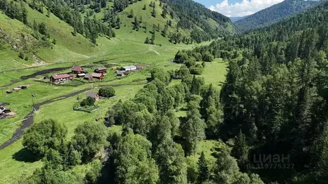 Участок в Алтай, Чемальский район, Элекмонарское с/пос, пос. Каракол  ...