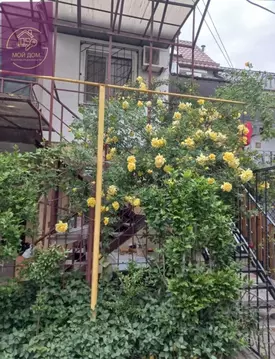 Коттедж в Крым, Евпатория ул. Санаторская, 17 (56 м)