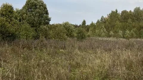 Участок в Смоленская область, Смоленский муниципальный округ, д. ...