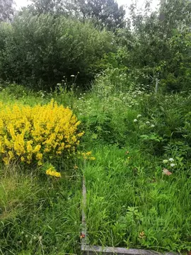 Участок в Санкт-Петербург Деревня Рыбацкое тер.,  (12.0 сот.)