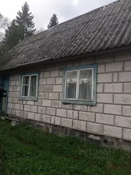 Дом в Ленинградская область, Кингисеппский район, Большелуцкое с/пос, ...