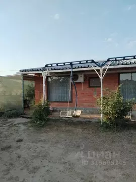 Дом в Краснодарский край, Ейский район, Должанская ст-ца ул. Пушкина, ...