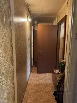 3-к кв. Нижегородская область, Нижний Новгород просп. Ленина, 43к2 ...