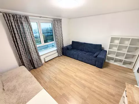 Студия Московская область, Одинцово ул. Рябиновая, 1 (27.3 м)