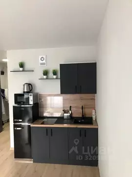 Студия Санкт-Петербург пос. Шушары, просп. Новгородский, 2к3 (24.0 м)