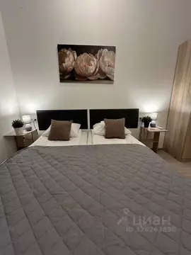 1-к кв. Санкт-Петербург Невский просп., 140 (25.0 м)