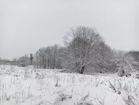 Участок в Московская область, Клин городской округ, д. Алферьево  ...