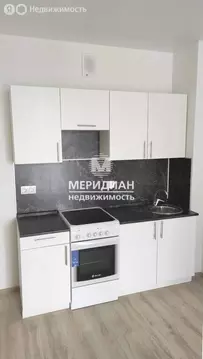 1-комнатная квартира: Анкудиновка, Русская улица, 14 (43.7 м)