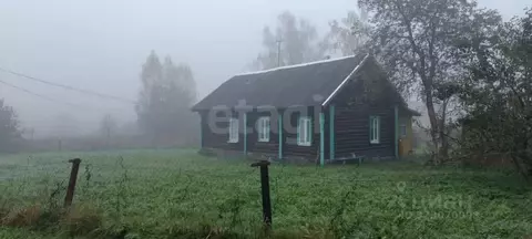 Дом в Ярославская область, Ярославский муниципальный округ, д. Афонино ...