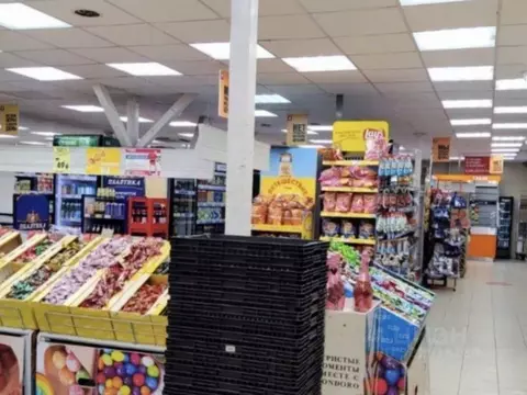 Торговая площадь в Московская область, Чехов Губернский мкр, 2 (752 м)