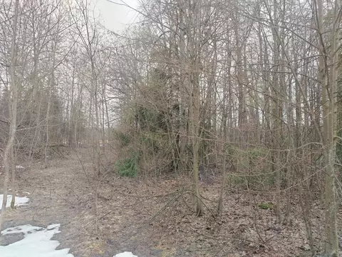 Участок в Московская область, Черноголовка городской округ, д. Старки ...