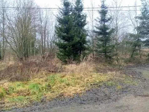 Участок в Московская область, Чехов муниципальный округ, д. Ходаево ...