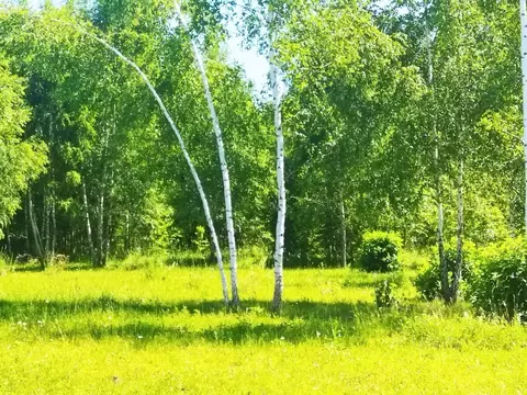 Участок в Тульская область, Ясногорский район, пос. Есуковский  (10.0 ...