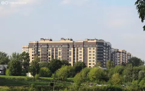 1-комнатная квартира: посёлок Володарского, Центральная улица, 22 (37 ...