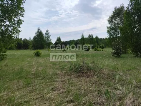 Участок в Челябинская область, Сосновский муниципальный округ, пос. ...