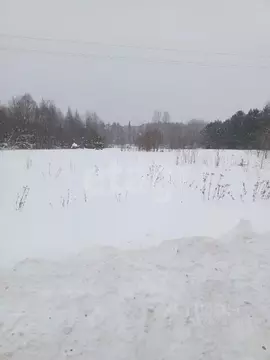 Участок в Вологодская область, Вашкинский муниципальный округ, с. ...