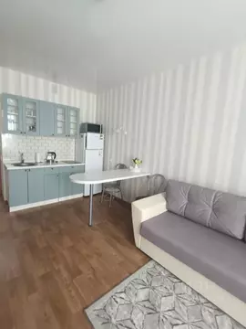 Студия Московская область, Мытищи ул. Академика Каргина, 23А (28.0 м)