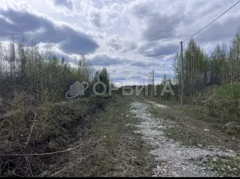 Участок в Тюменская область, Нижнетавдинский муниципальный округ, д. ...