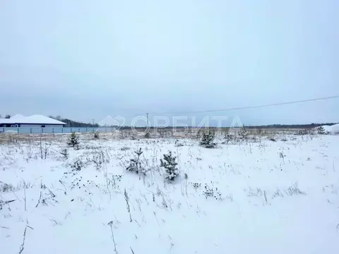 Участок в Тюменская область, Тюменский муниципальный округ, с. ...