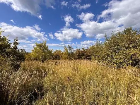 Участок в Самарская область, Ставропольский район, Севрюкаево с/пос, ...