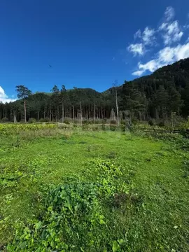 Участок в Алтай, Чемальский район, пос. Усть-Сема ул. Трактовая, 41 ...