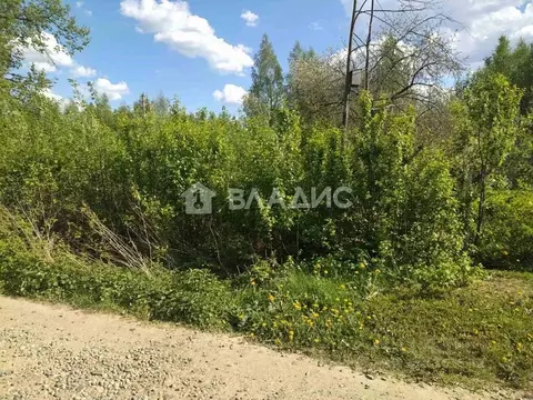 Участок в Ивановская область, Ивановский район, Коляновское с/пос, д. ...