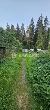 Продается дом в пгт Снегири