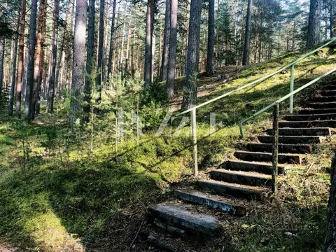 Участок в Ленинградская область, Приозерский район, Петровское с/пос, ...