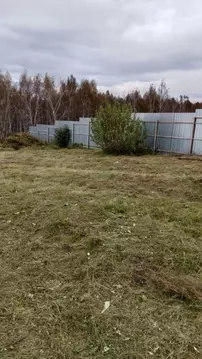 Участок в Новосибирская область, Коченевский район, Недра-3 садовое ...