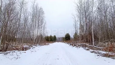 Участок в Тюменская область, Нижнетавдинский район, Ключевское с/пос, ...