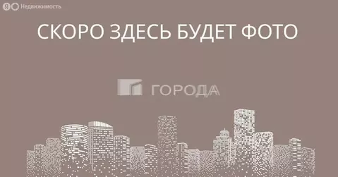 1-комнатная квартира: Новосибирск, улица Дуси Ковальчук, 69 (29.3 м)